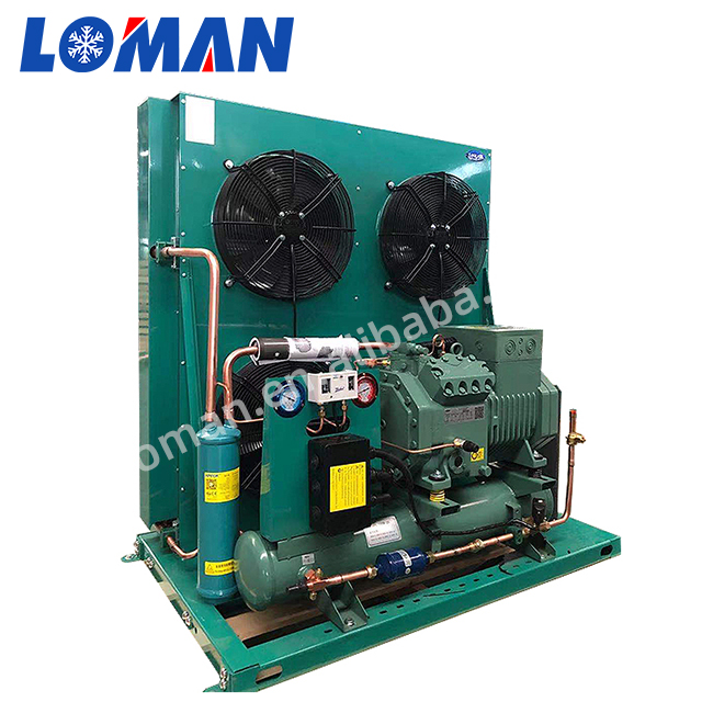 Bitzer Two Stage Air Cooled Condensing Unit with Semi-hermetic Reciprocating Piston Compressor