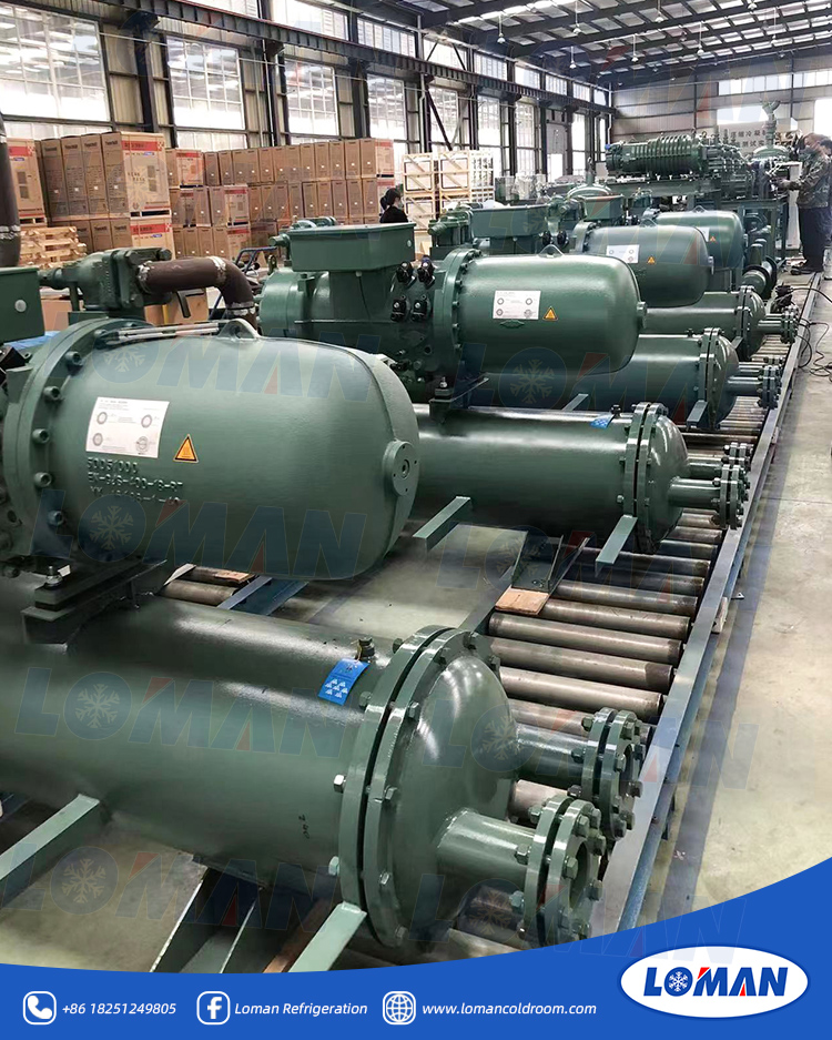 CSH高温螺杆并联1