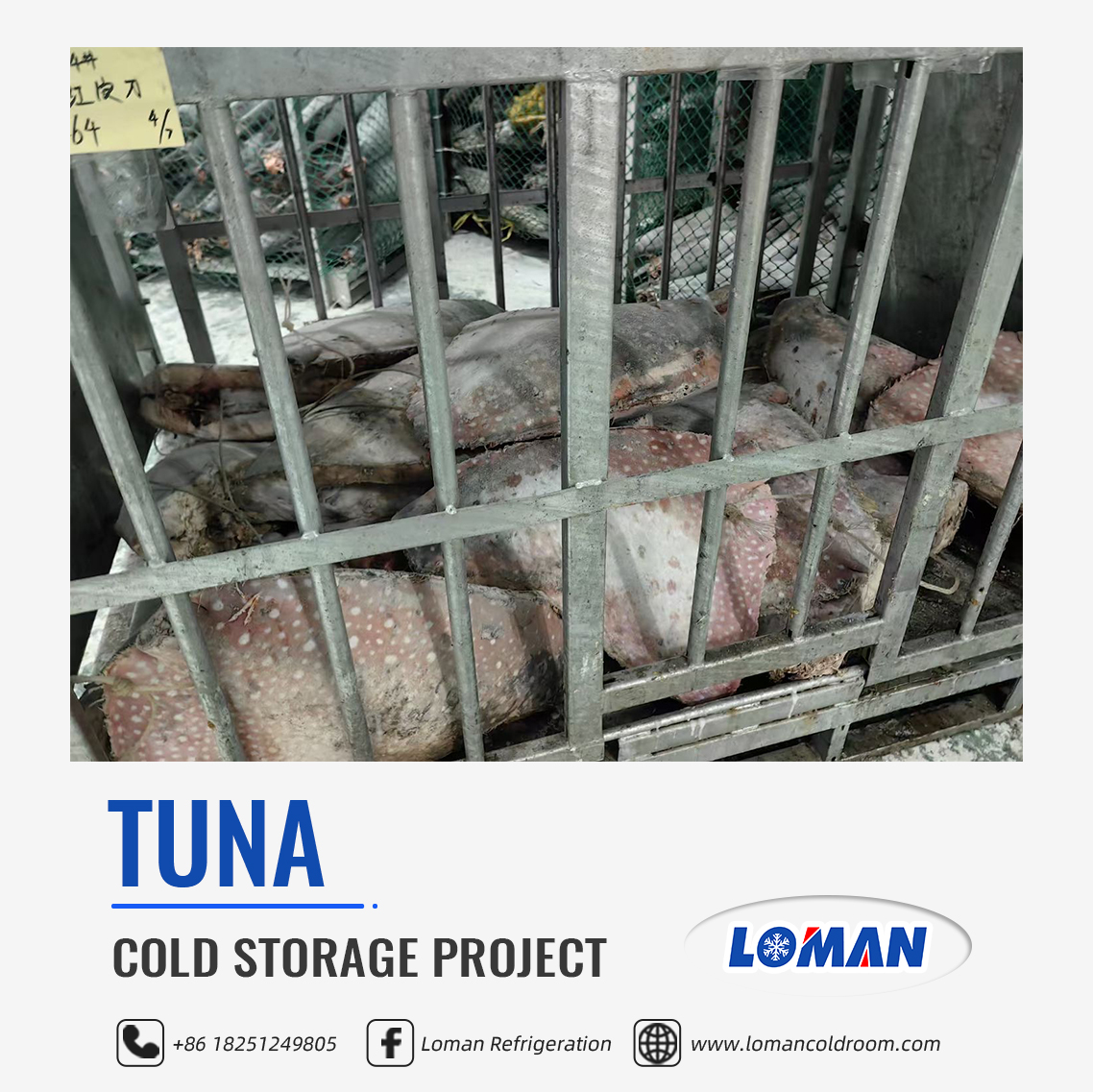 Tuna Cold Room Project