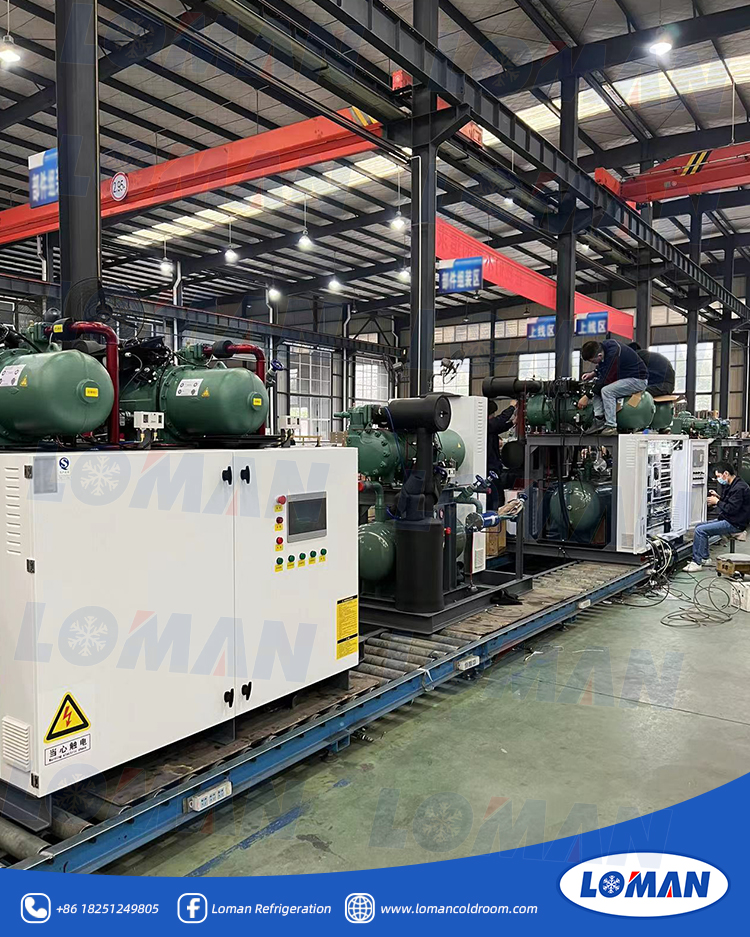 CSH高温螺杆并联5