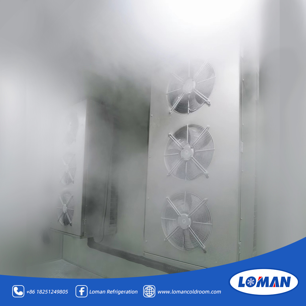 Evaporator for blast freezer