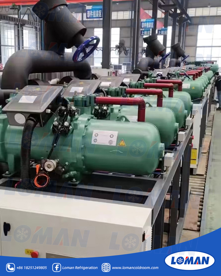 CSH Screw Parallel Cold Room Bitzer Compressor Unit