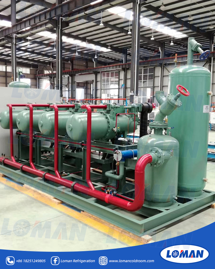 CSH高温螺杆并联3